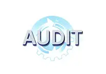 audit ANECA