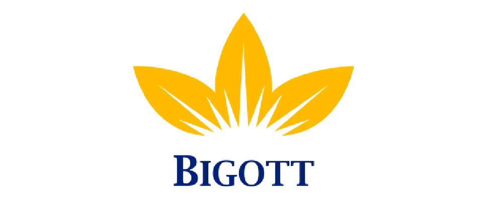 logo-bigott