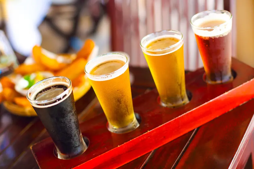 Diplomado de Cervezas y Sommellerie